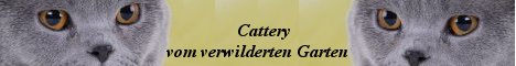 Cattery-vom-verwilderten-Garten